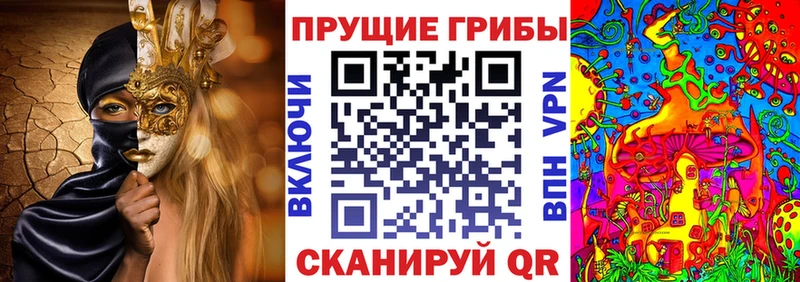 гидра ссылка  Котово  Галлюциногенные грибы Magic Shrooms 